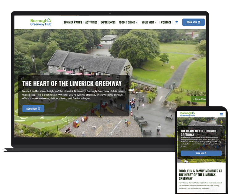web-design-Ireland-2 copy